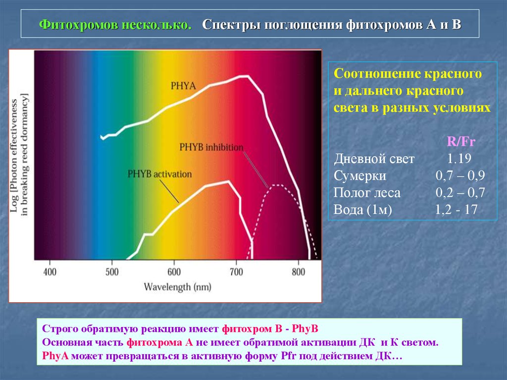 Спектр озона. Спектры поглощения газов в ИК области спектра. Спектр поглощения поливинилового спирта. Спектр поглощения нуклеиновых кислот.