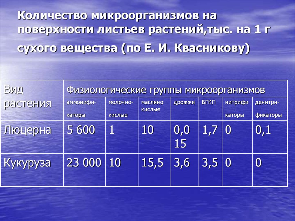 Сколько сухой. Количество микроорганизмов. Количество бактерий на поверхности. На 1 г сухого вещества. Численность бактерий.