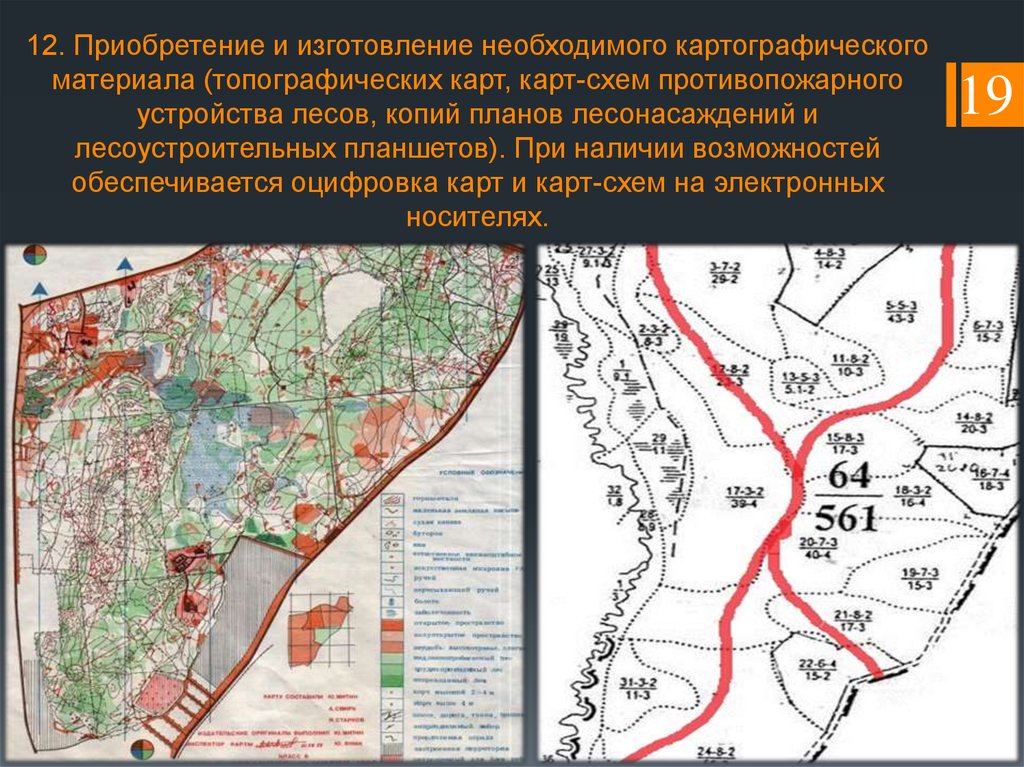 План противопожарного устройства лесничества