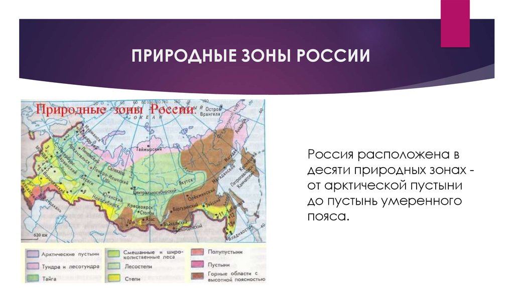 Презентация природно хозяйственные зоны россии 8 класс