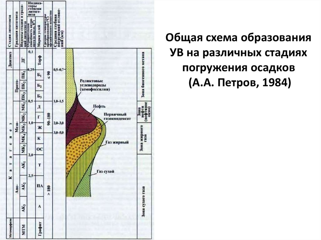 Общая схема образования УВ на различных стадиях погружения осадков (А.А. Петров, 1984)