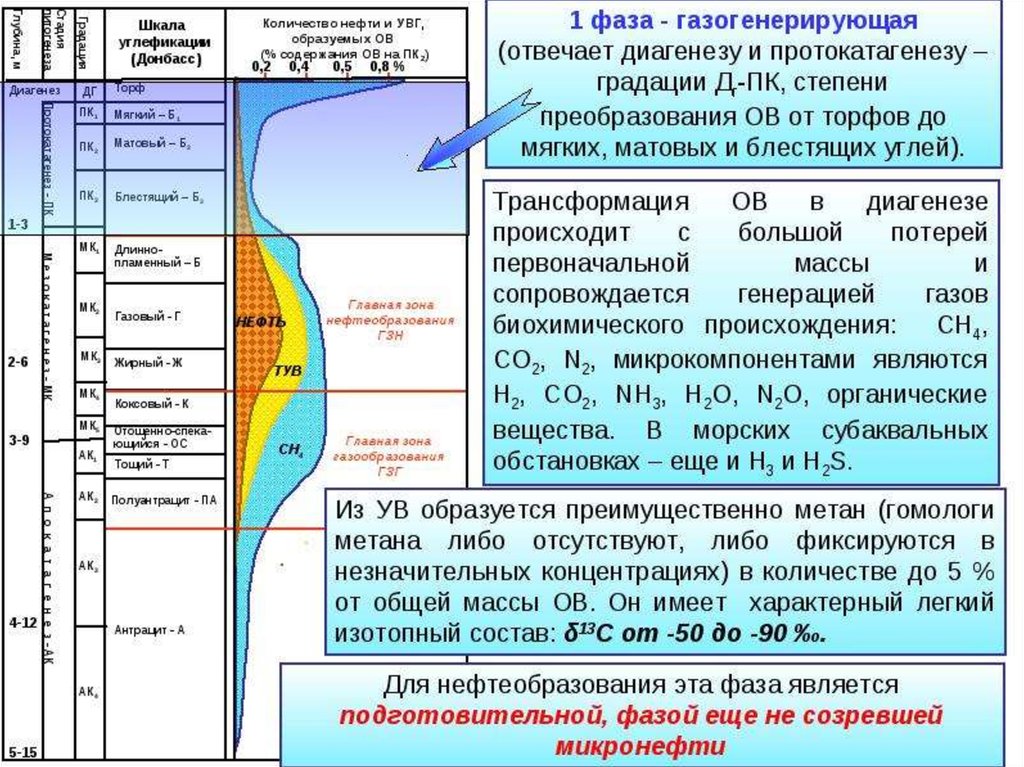 Температура ов. Диагенез катагенез. Зоны нефтеобразования. Этапы образования нефти. Главная фаза нефтеобразования.