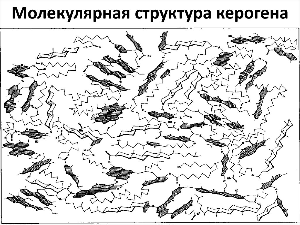 Молекулярная структура керогена