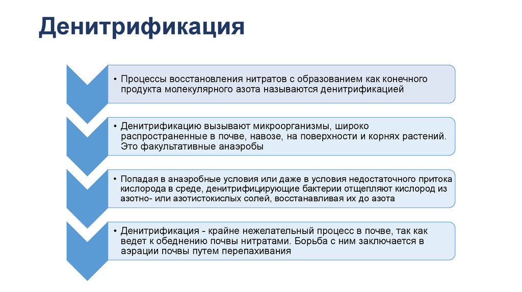 Денитрификация это. Денитрификация бактериями. Бактерии денитрификаторы. Процесс денитрификации. Денитрифицирующие бак.