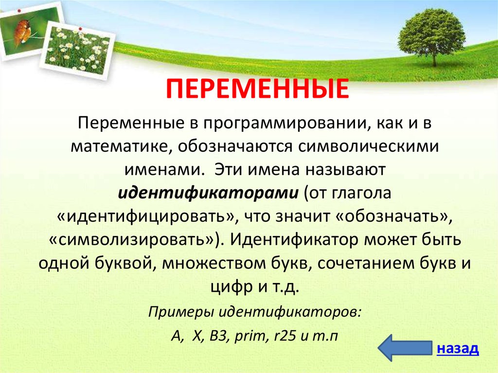 Математические величины определения. Переменные математика. Переменная в математике. Переменные величины в математике. Переменные числа в математике.