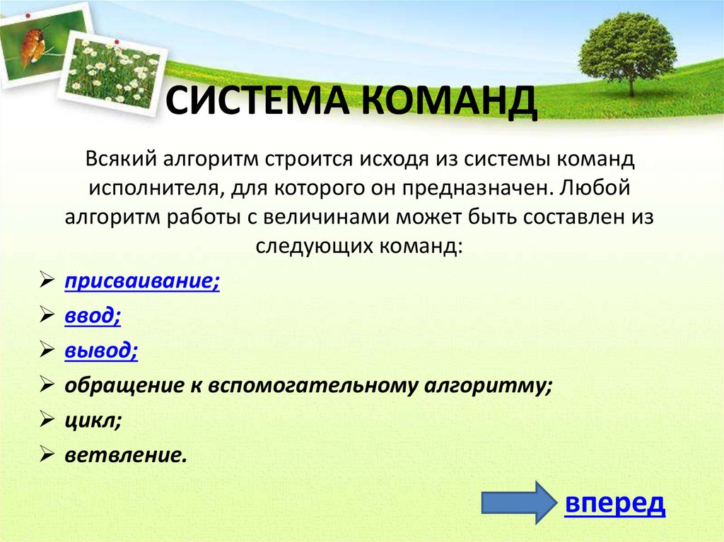 Система команд исполнителя состоит из 2 команд. Система команд. Система команд исполнителя. Система команд исполнителя алгоритмов это. Система команд это в информатике.