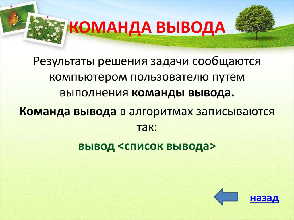 Итоги решения. Команда вывода. Вывод по алгоритму в презентации. Как записывается команда вывода. Команда вывода записывается ....