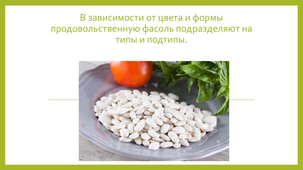 Фасоль продовольственная - презентация онлайн