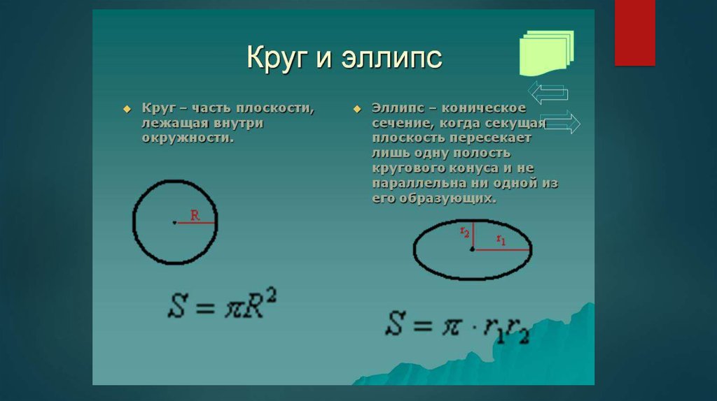 Чем отличается окружность. Круги эллипса. Окружность эллипса. Площадь эллипса и круга. Окружность овал эллипс.