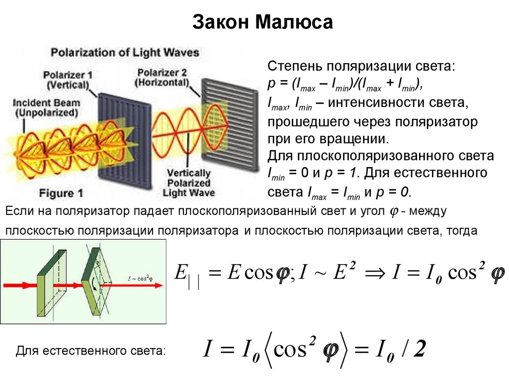 Поляризация законы. Вывод закона Малюса. Закон Малюса вывод формулы. Закон Малюса для плоско поляризованного света. Поляризация формула Малюса.