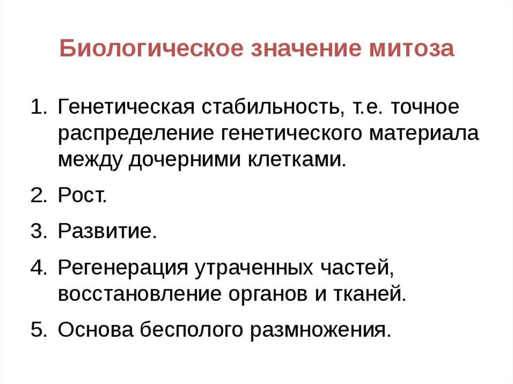 Биологическая сущность мейоза состоит в. Биологическое значение митоза. Биологическоч проль митомитоза. Биологическая роль митоза. Митоз биологическое значение митоза.