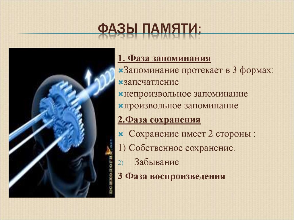 Память презентация 8 класс