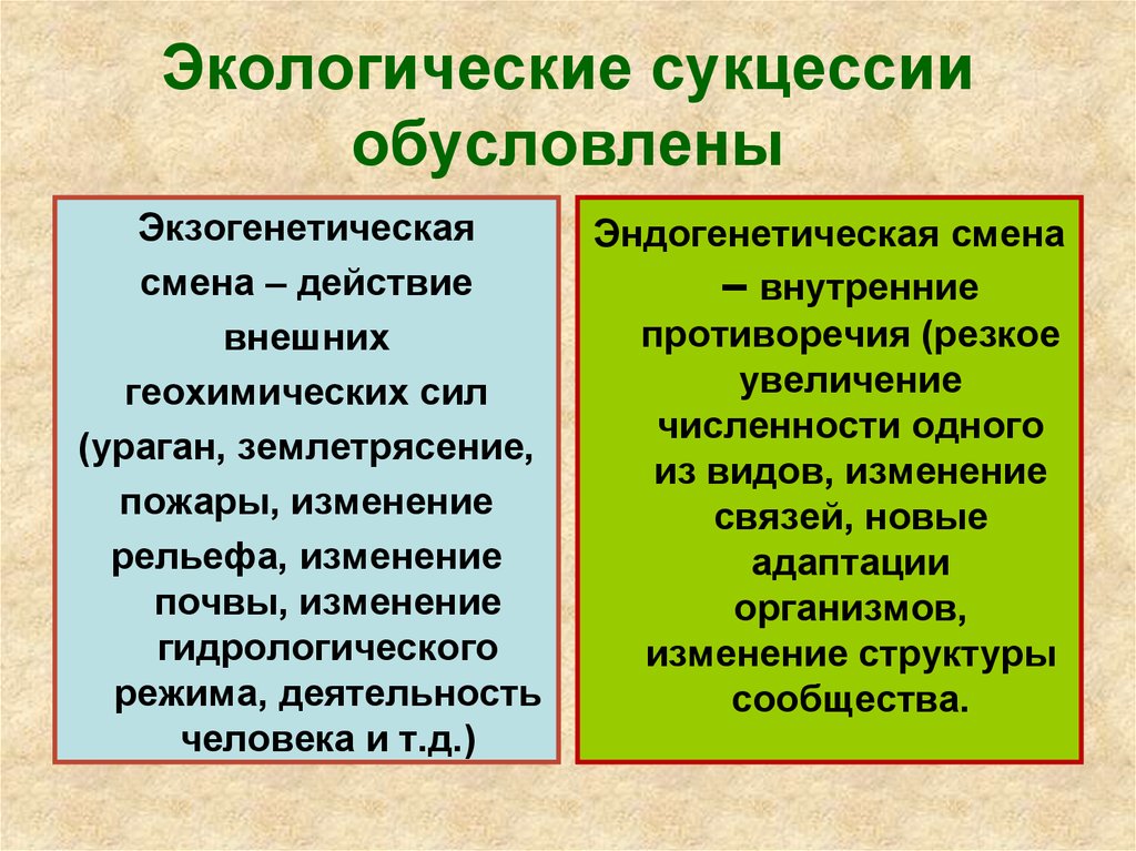 Природно обусловленные. Экологическая сукцессия. Понятие сукцессии. Понятие об экологических сукцессиях. Сукцессия это в экологии.