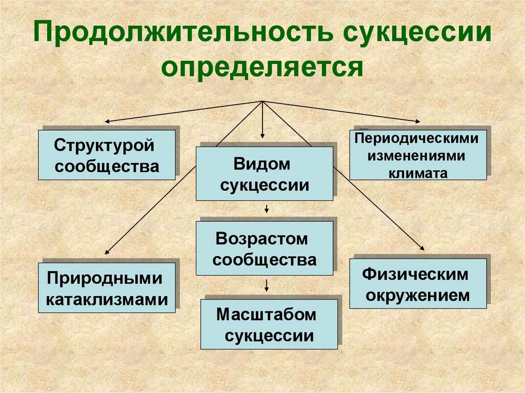 Какими факторами определяется продолжительность сукцессии. Продолжительность сукцессии определяется. Факторы Продолжительность сукцессии. Типы экологических сукцессий. Типы изменений сукцессии.