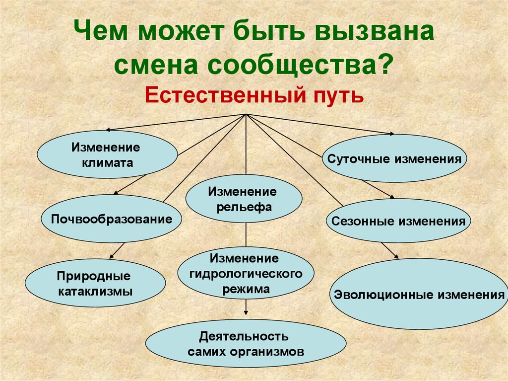 Смена природных сообществ презентация