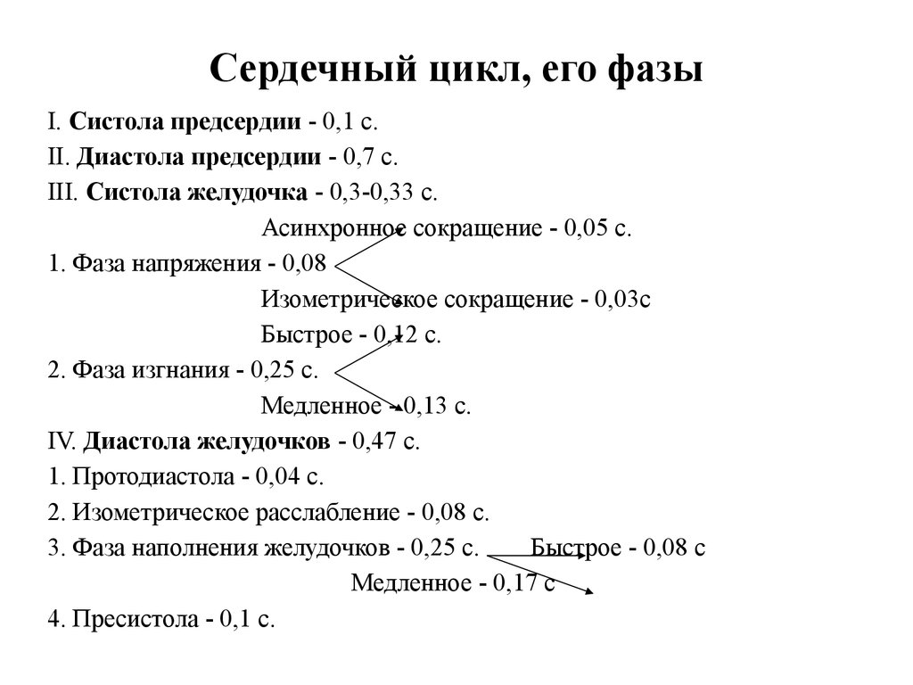 Сердечный цикл и его фазы