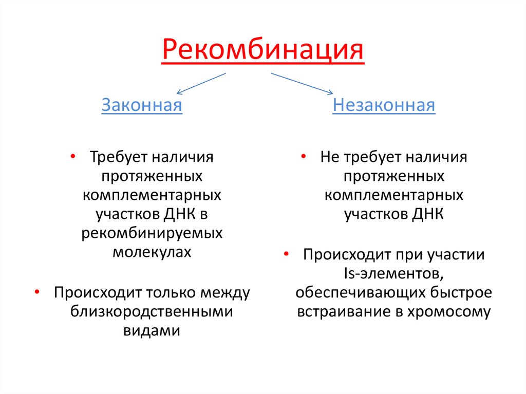 Рекомбинация в физике. Рекомбинация наследственного материала схема. Генетическая рекомбинация ДНК. Рекомбинация генетического материала. Типы генетических рекомбинаций.