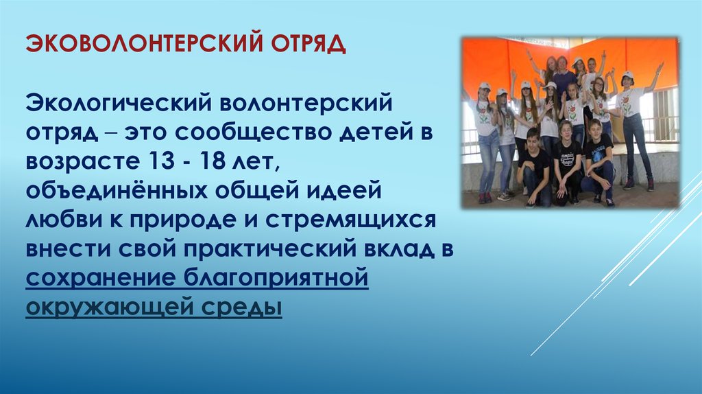 Отряд это. Экологический волонтерский отряд. Волонтеры экологическое направление. Экологическое направление в волонтерской деятельности. Экологический волонтерский проект.