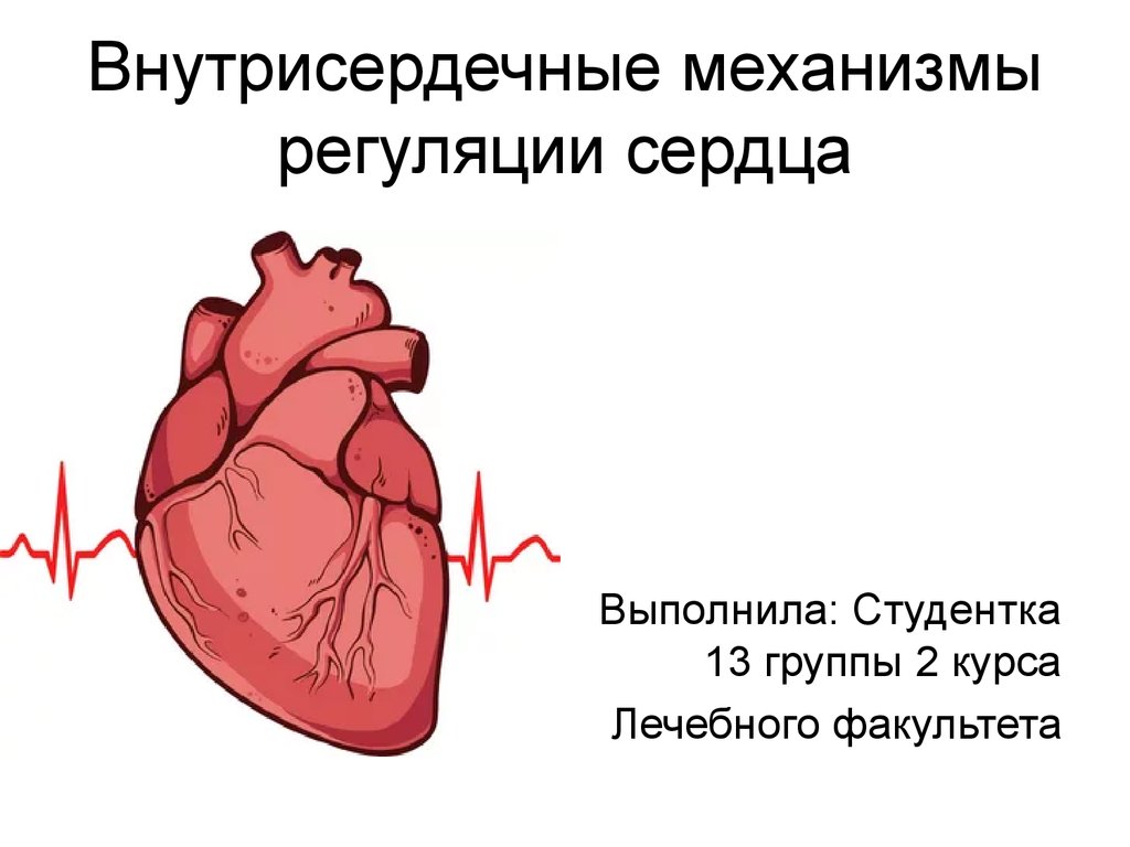 Сердечный механизм. Интракардиальные механизмы регуляции сердца. Внутрисердечные и внесердечные механизмы регуляции сердца. Внутрисердечные механизмы регуляции. Внутрисердечные (интракардиальные) механизмы регуляции.