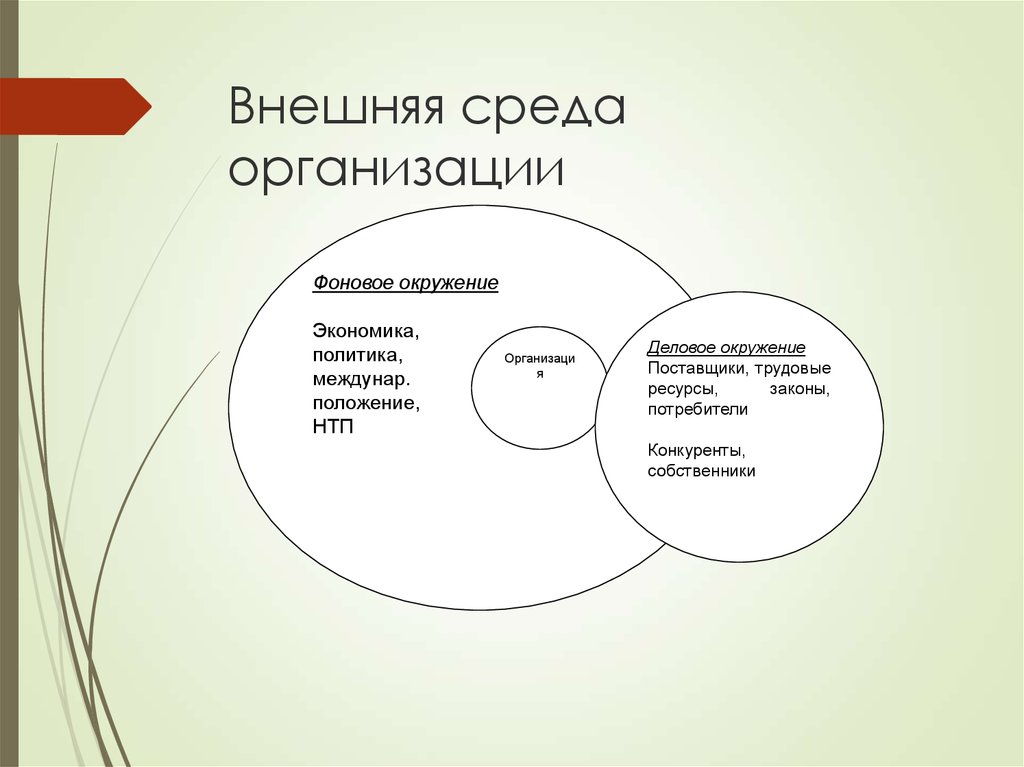 Организованные среды. Внешняя среда. Фоновое окружение организации это. Внешнюю среду организации делят на.