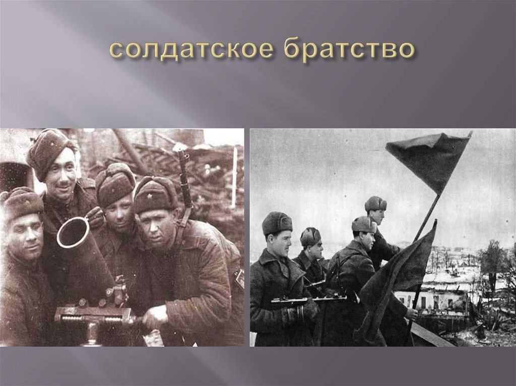 солдатское братство
