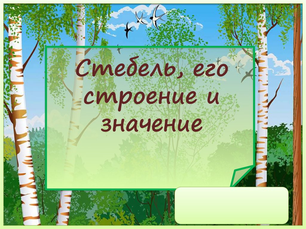 Стебель его строение и значение 6. Стебель и его значение 6 класс. Презентация стебель его строение и значение 6 класс ФГОС Пономарева.