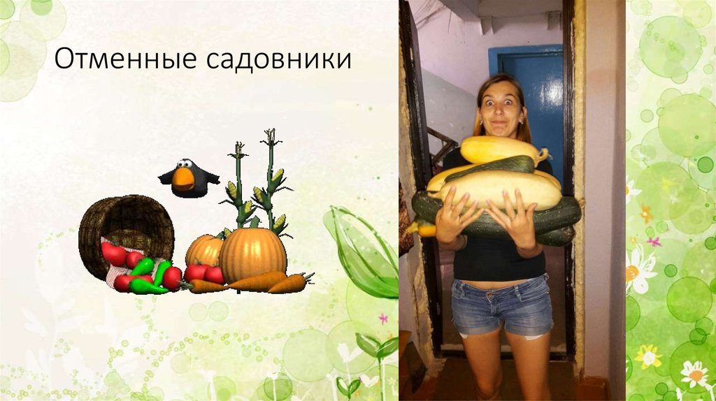 Отменные садовники