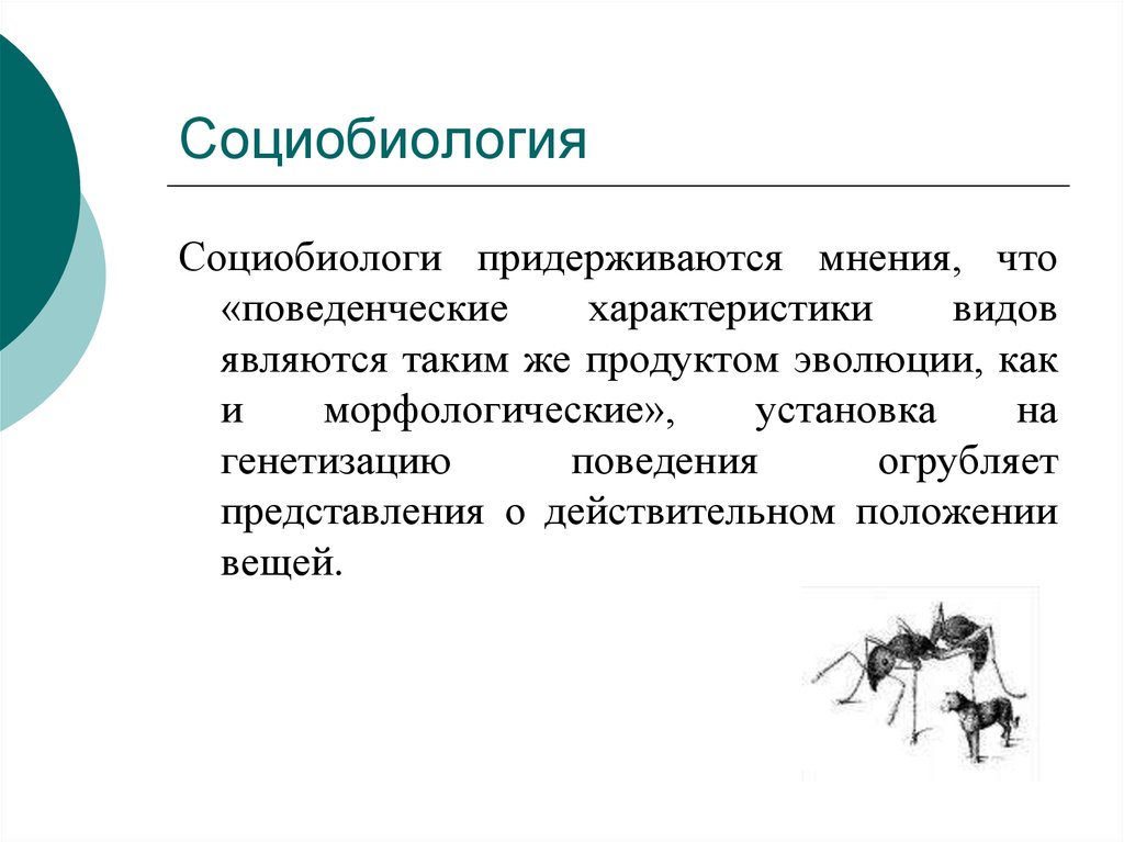 Придерживаться мнения. Современная социобиология. СОЦИОБИОЛОГИЧЕСКАЯ теория. Что изучает социобиология. Современная социобиология философия.