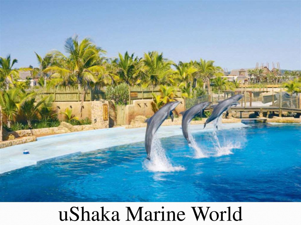 Marine's world. USHAKA Marine World Дурбан. USHAKA Marine World, Дурбан, ЮАР океанариум. 4. USHAKA Marine World, Дурбан, ЮАР. Аквапарк в Дурбан ЮАР.