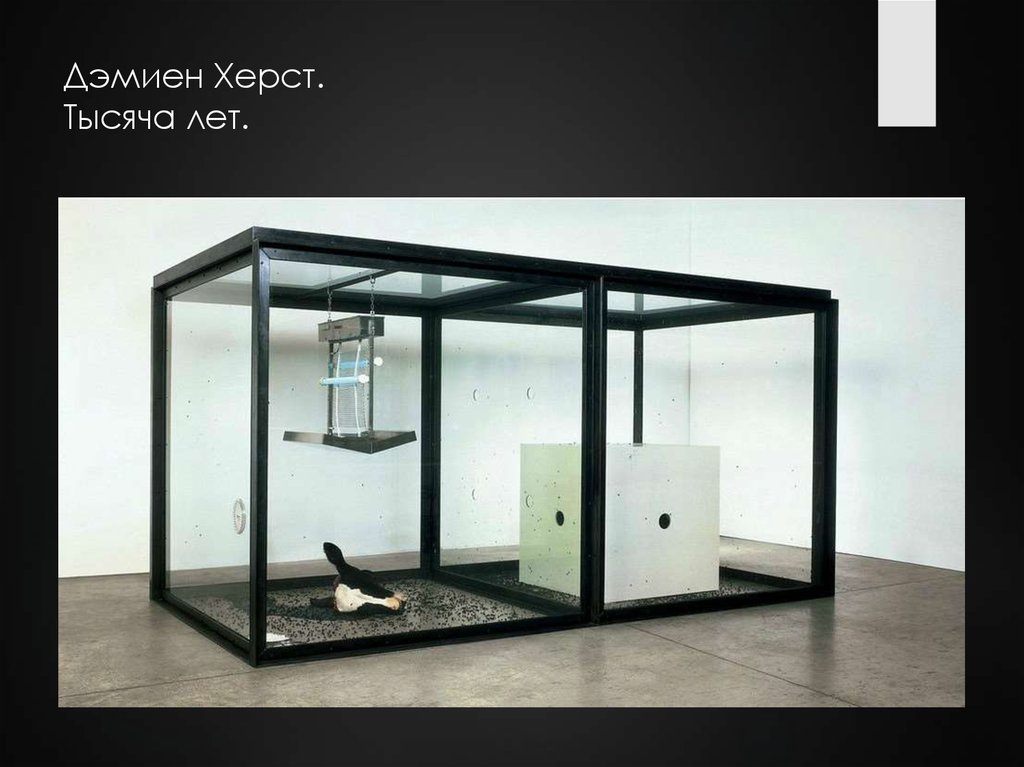 Дэмиен Херст. Тысяча лет.