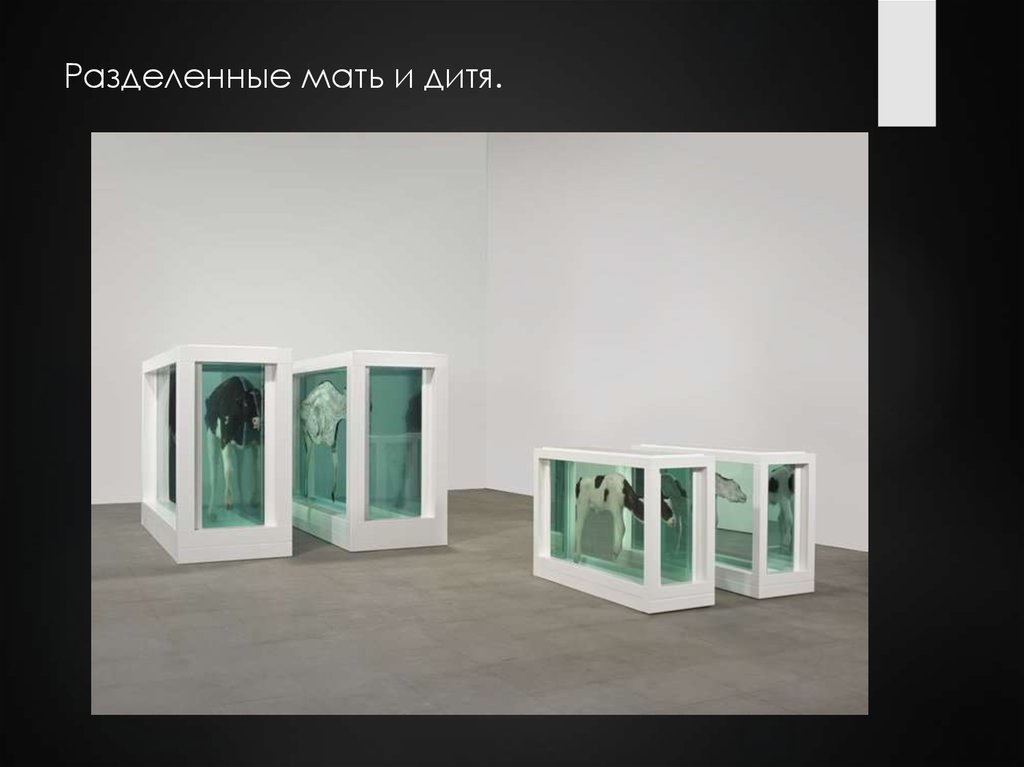 Разделенные мать и дитя.