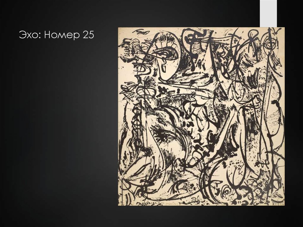   Эхо: Номер 25