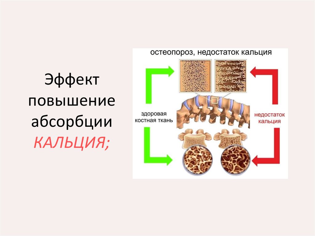 Вымывание кальция из костей