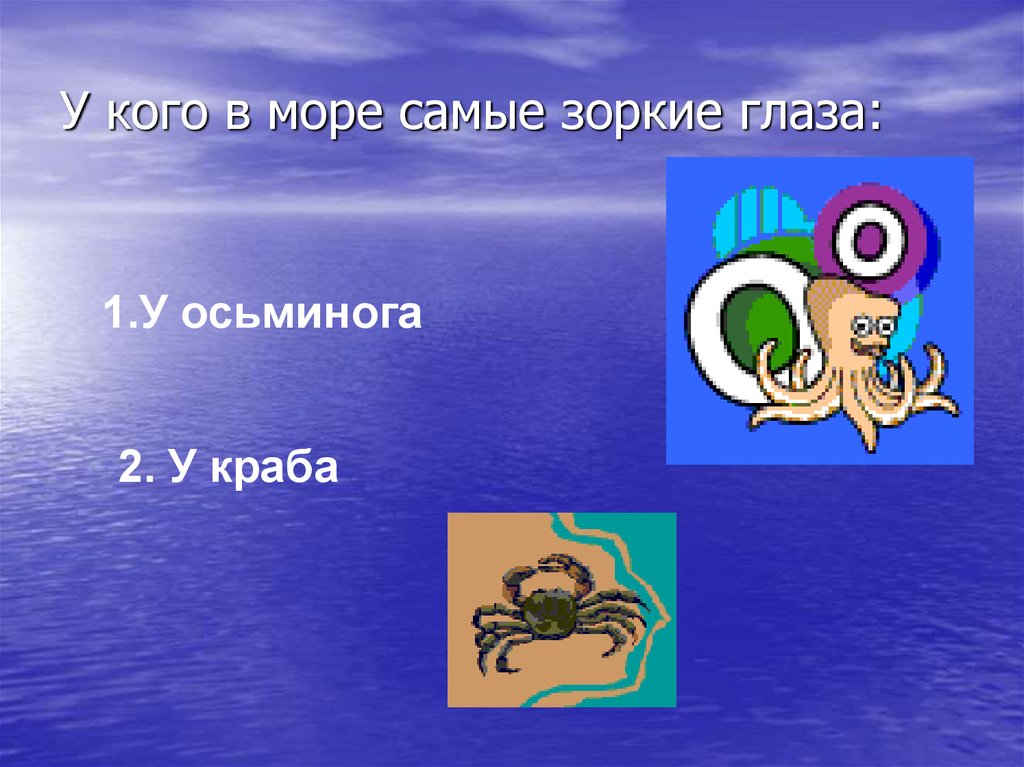 У кого в море самые зоркие глаза: