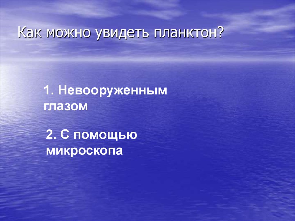 Как можно увидеть планктон?