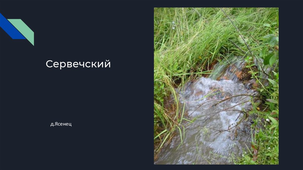 Сервечский