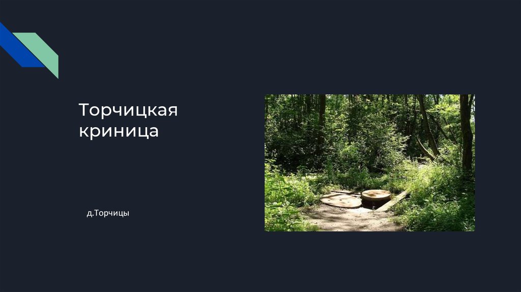 Торчицкая криница