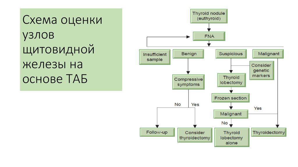 Щитовидная железа таб. Таб узла щитовидной железы показания. Схема оценки функции щитовидной железы. Таб узла щитовидной железы расшифровка. Классификация узловых образований щитовидной железы.