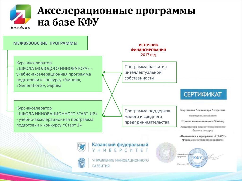 Деятельность в рамках проекта