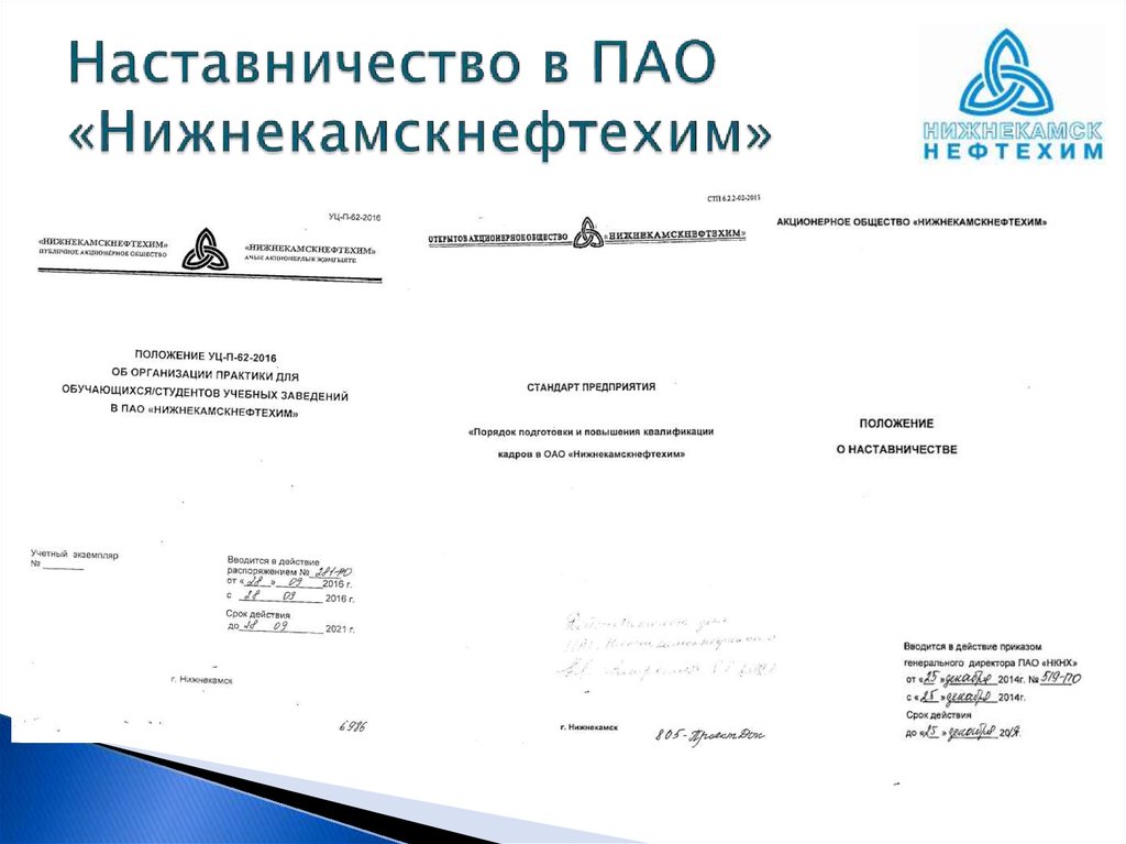 Пао нижнекамскнефтехим карта партнера