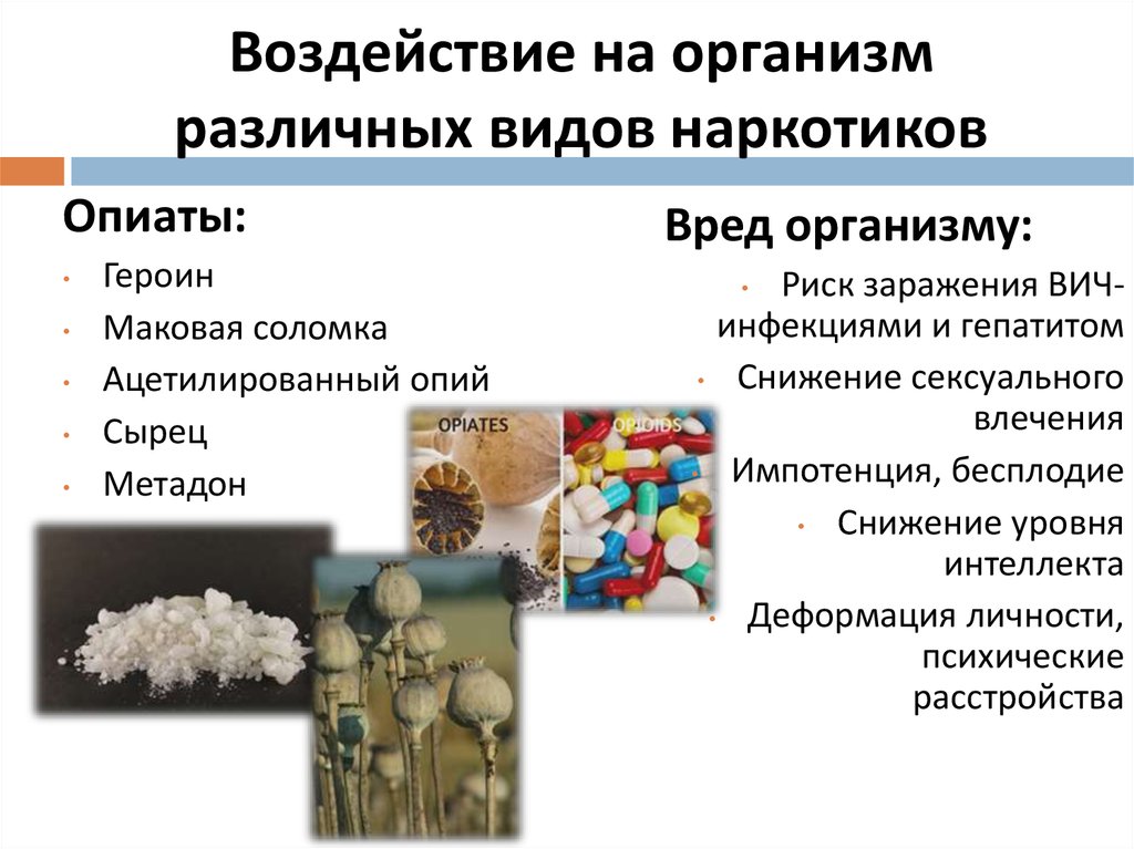 Воздействие на организм различных видов наркотиков
