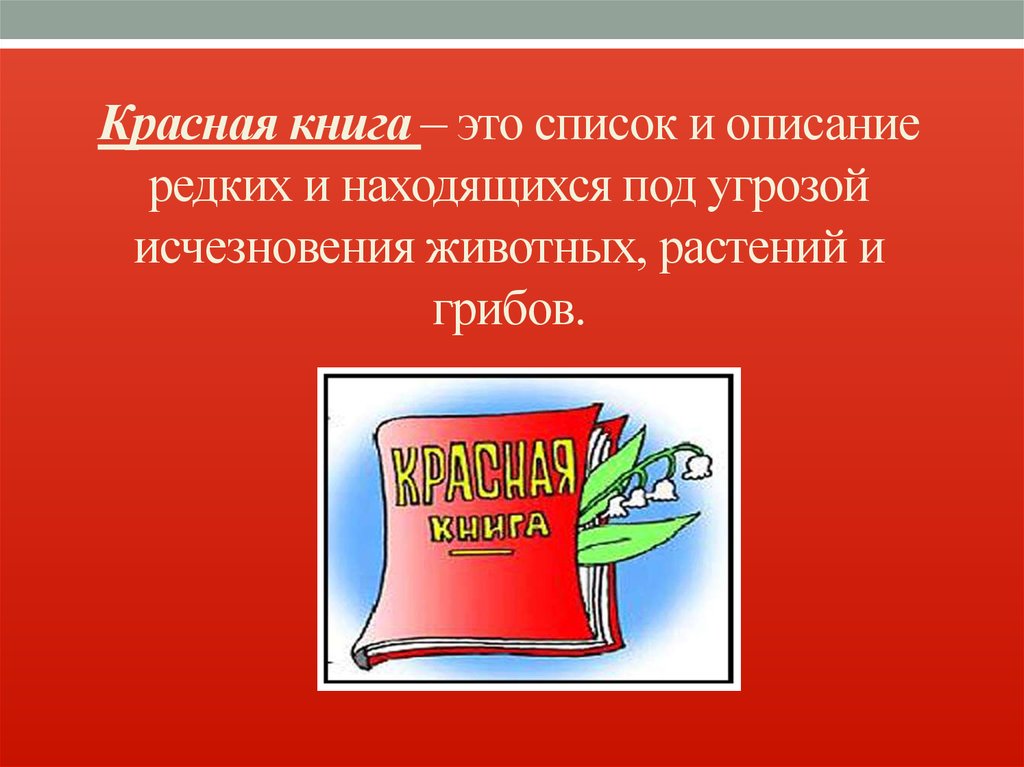 Красная книга для презентации