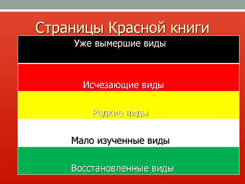 Красная книга ленинградской. Красные страницы красной книги. Цвета красной книги России. Виды страниц красной книги. Виды красных книг.