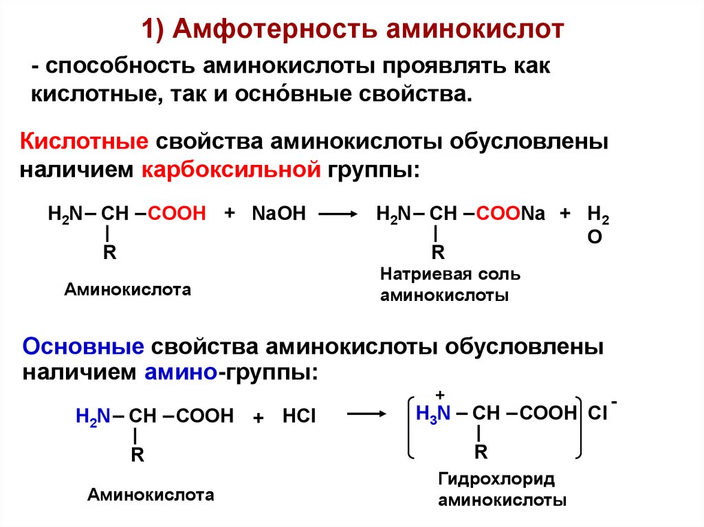 Свойства аминокислот реакции. Химические свойства аминокислот Амфотерность. Аминокислоты проявляют химические свойства. Амфотерные свойства Альфа аминокислот. Реакции, подтверждающие амфотерные свойства аминокислот..