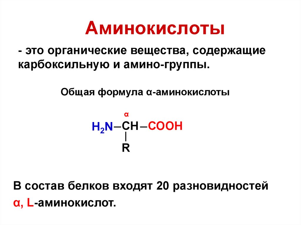 Главные аминокислоты. Аминокислоты белки формула. Химическая формула аминокислоты. Функции Альфа аминокислот. Общая формула аминокислот.