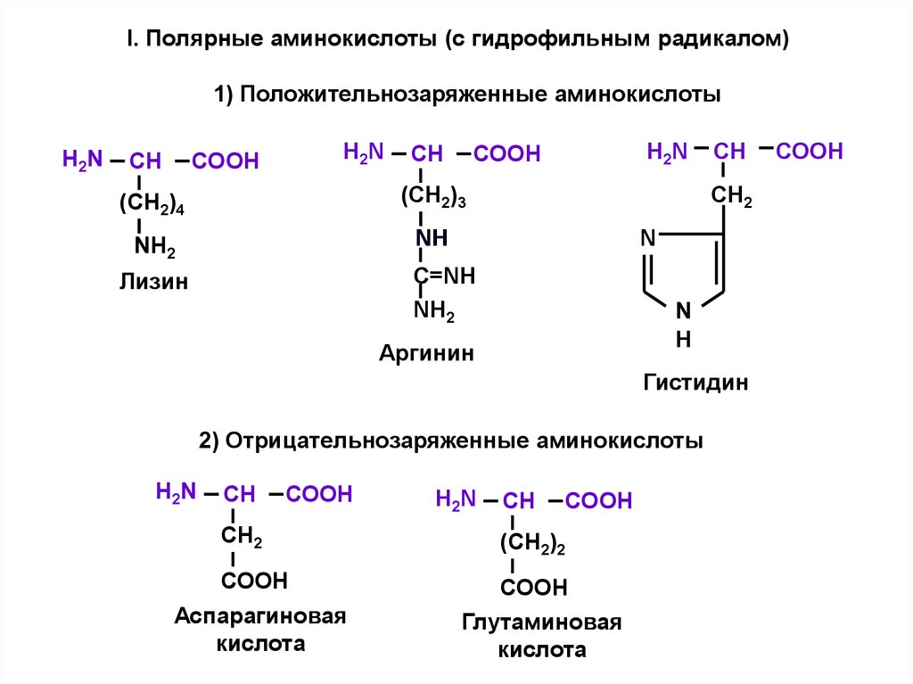 Состав радикалов аминокислот. Гидрофильные Полярные незаряженные аминокислоты. Аминокислоты с гидрофильными радикалами. Аминокислоты с незаряженными радикалами. Гидрофобные радикалы аминокислот.