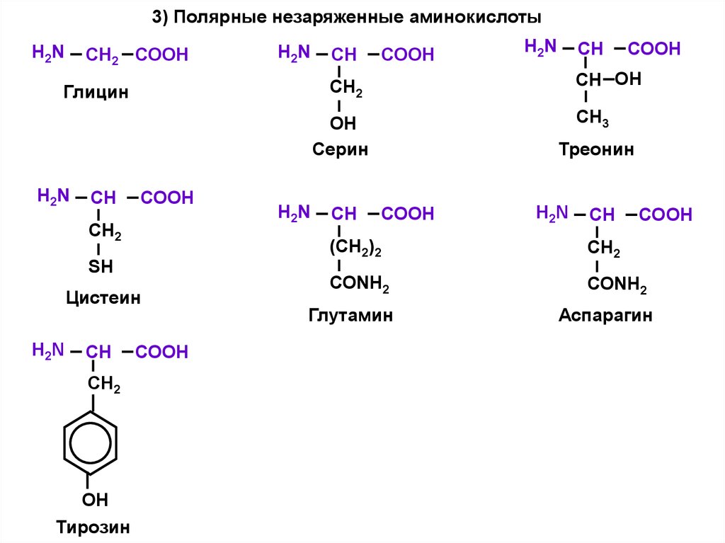 Состав радикалов аминокислот. Неполярные незаряженные аминокислоты. Аминокислоты с незаряженными радикалами. Полярные незаряженные аминокислоты. Полярные незаряженные аминокислоты список.