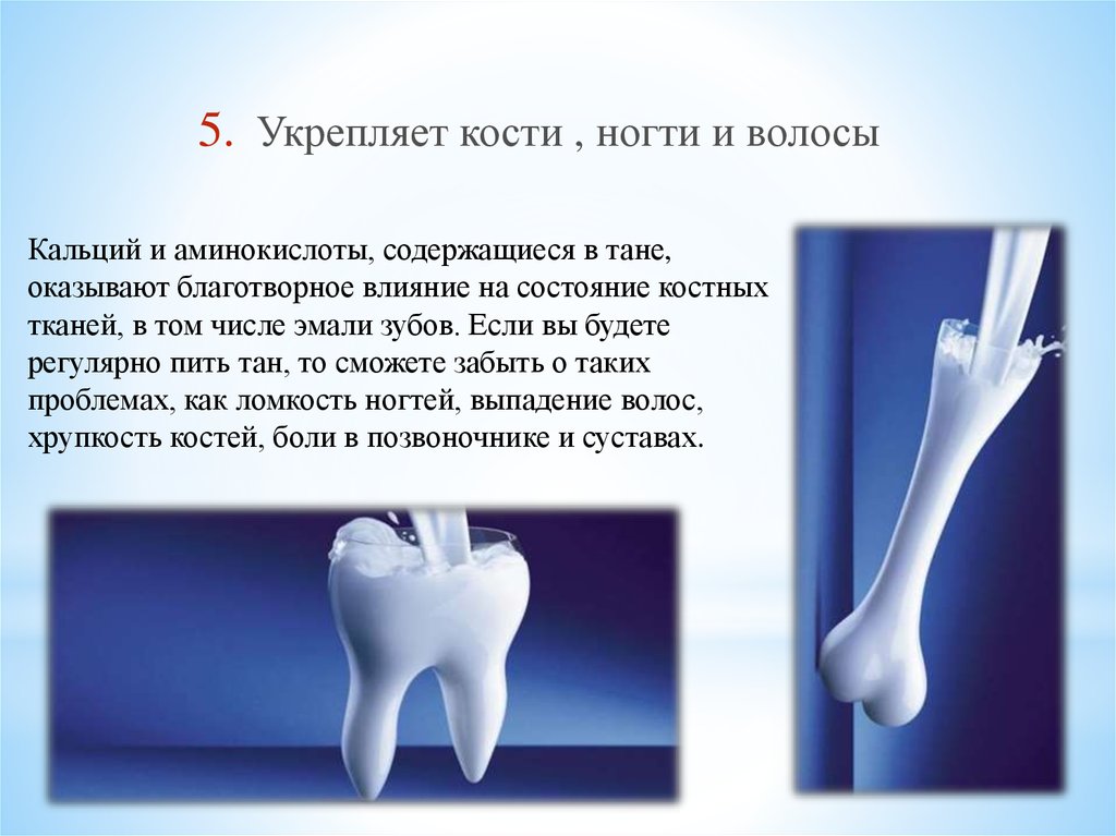 Самая твердая кость