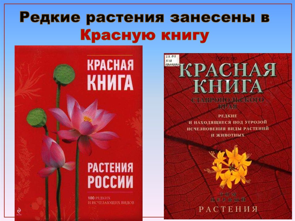 Включи красную книгу растений. Цветы красной книги. Растения красной книги России. Красная книга растения цветы.