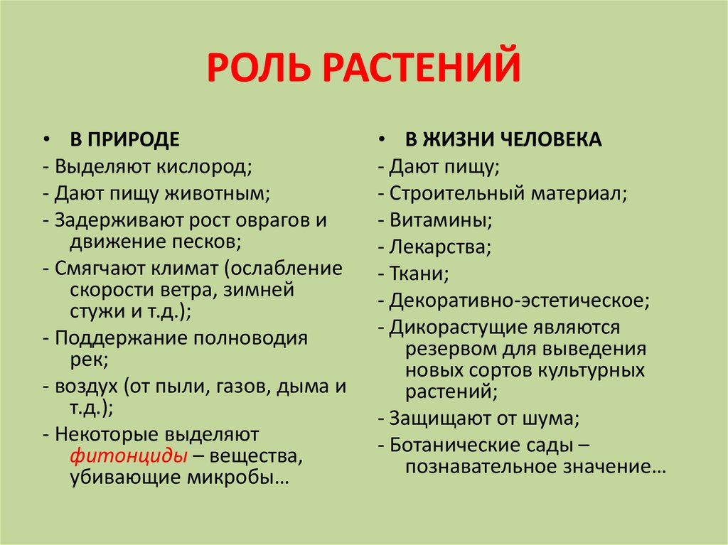 Схема растения в жизни человека 6 класс биология